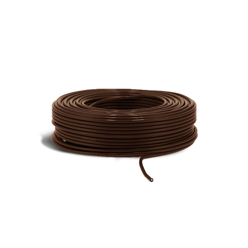 Hornisse HOPOW-CO-BR-1